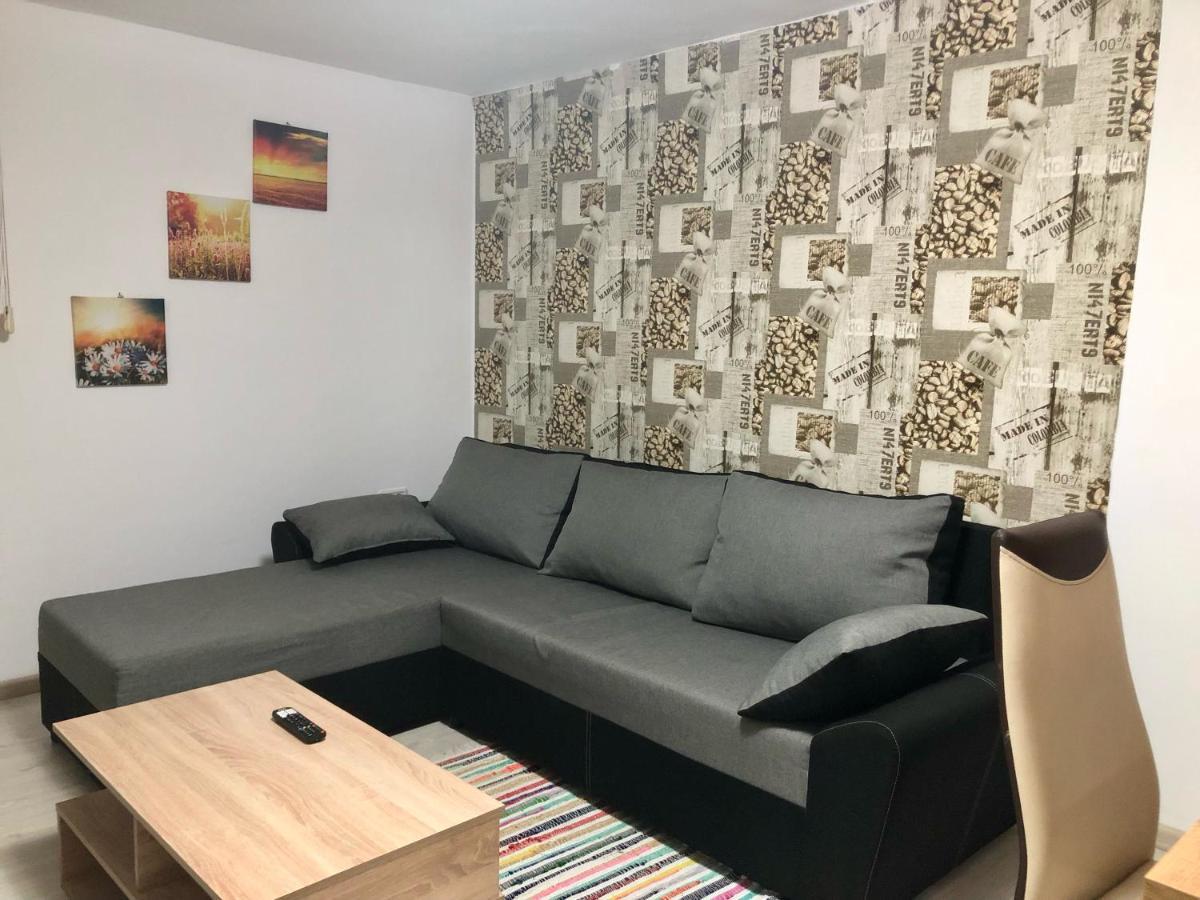 Central Park - Big Apartment - 3 Rooms - Free Parking T5 Timișoara Zewnętrze zdjęcie