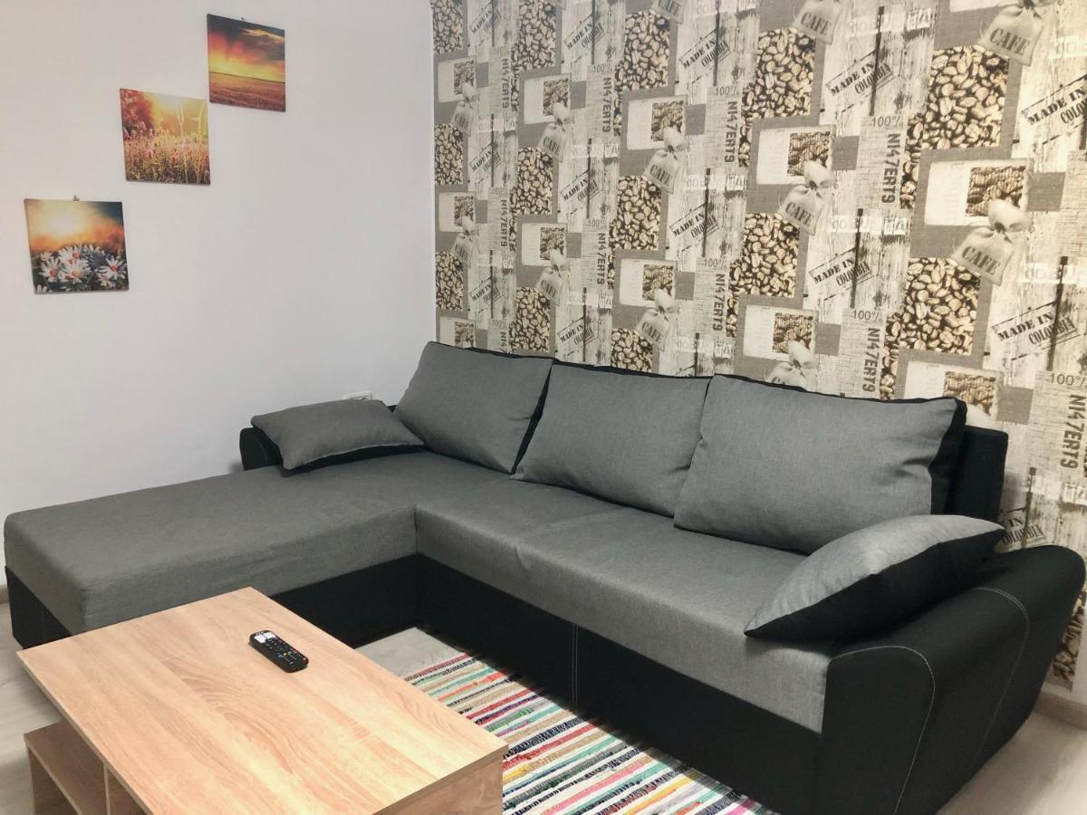 Central Park - Big Apartment - 3 Rooms - Free Parking T5 Timișoara Zewnętrze zdjęcie