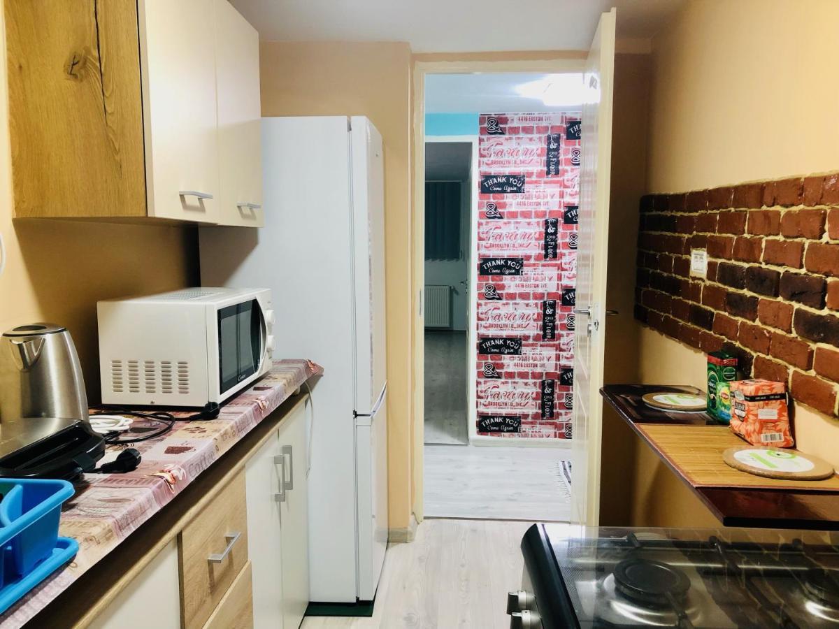 Central Park - Big Apartment - 3 Rooms - Free Parking T5 Timișoara Zewnętrze zdjęcie