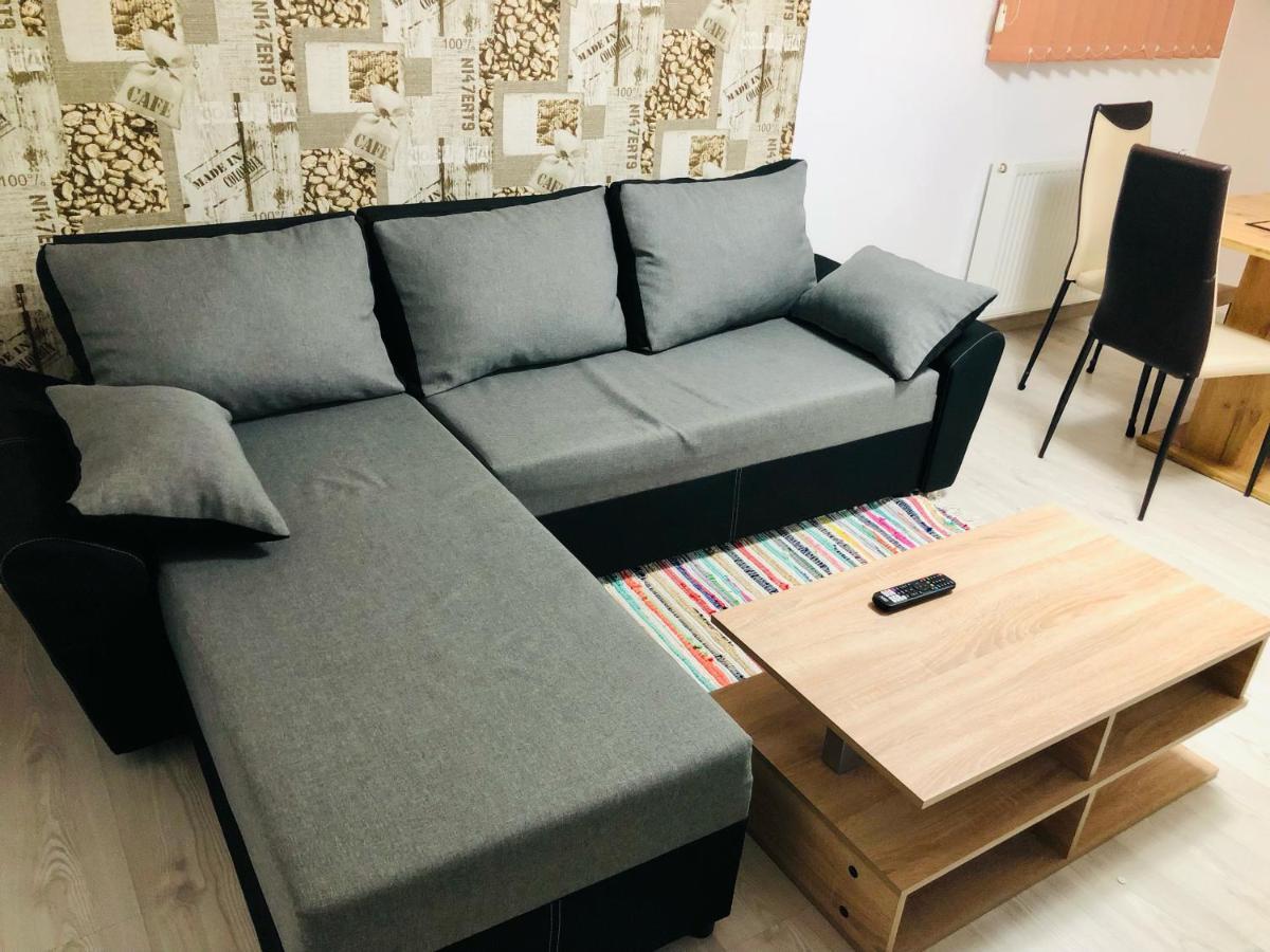 Central Park - Big Apartment - 3 Rooms - Free Parking T5 Timișoara Zewnętrze zdjęcie