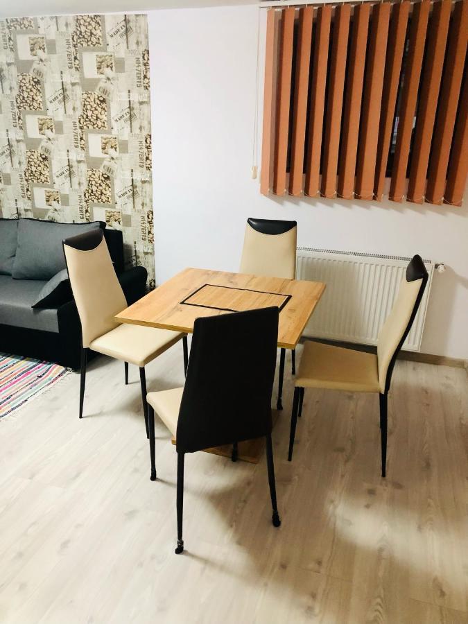 Central Park - Big Apartment - 3 Rooms - Free Parking T5 Timișoara Zewnętrze zdjęcie