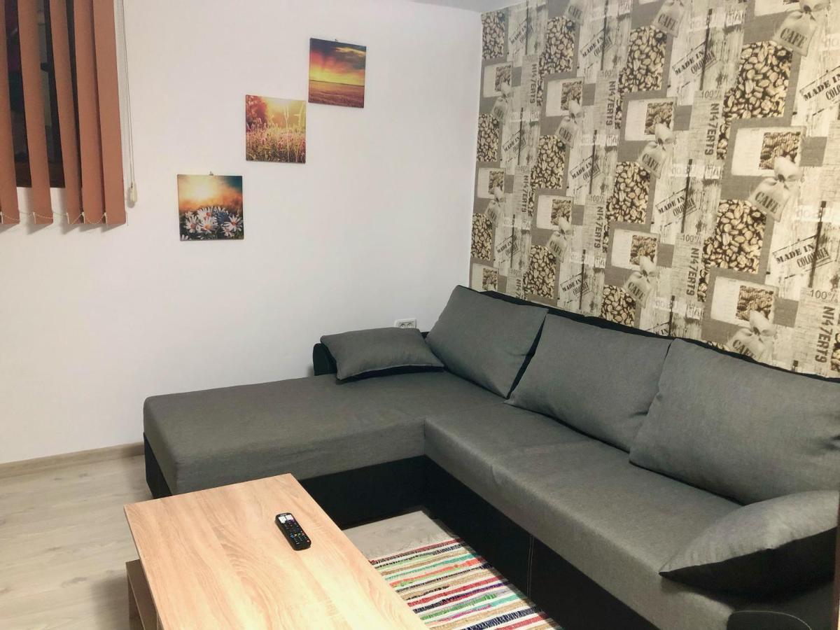 Central Park - Big Apartment - 3 Rooms - Free Parking T5 Timișoara Zewnętrze zdjęcie
