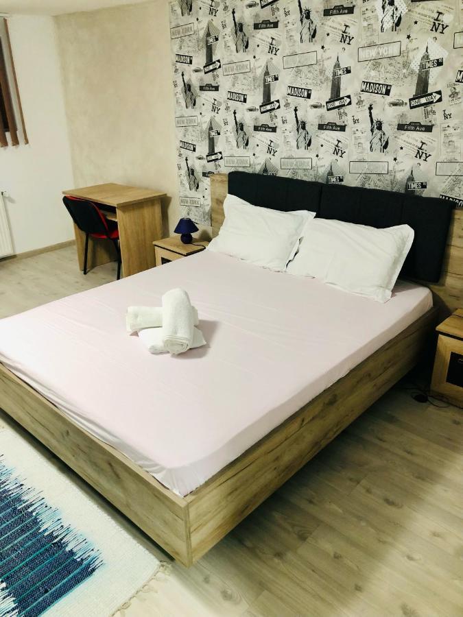 Central Park - Big Apartment - 3 Rooms - Free Parking T5 Timișoara Zewnętrze zdjęcie